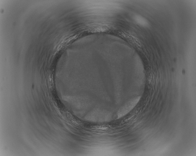 X0000067900743200605111917