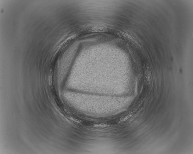 X0000067900744200605111917