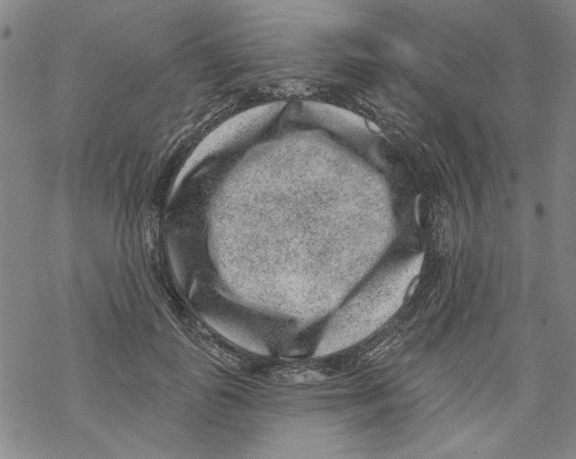 X0000067900747200605111917