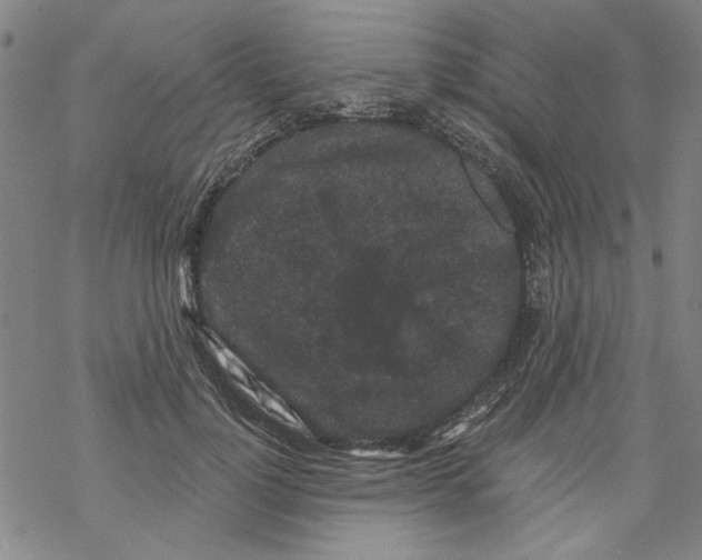 X0000067900748200605111917