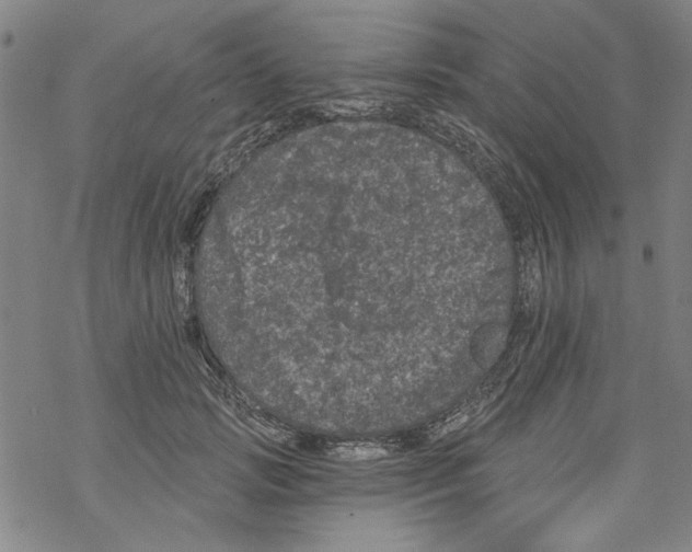 X0000067900749200605111917