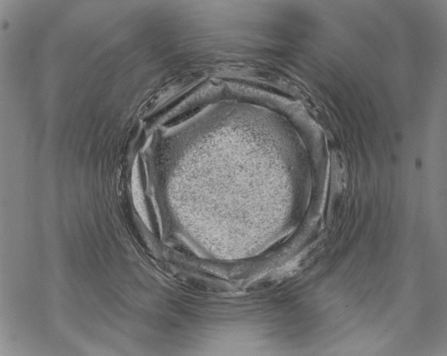 X0000067900750200605111917