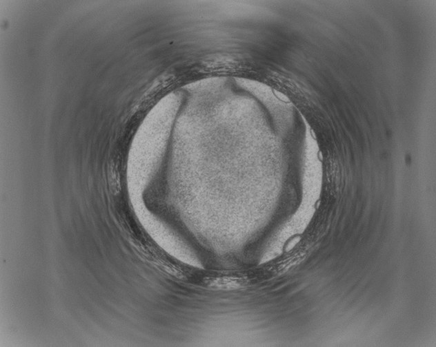 X0000067900751200605111917