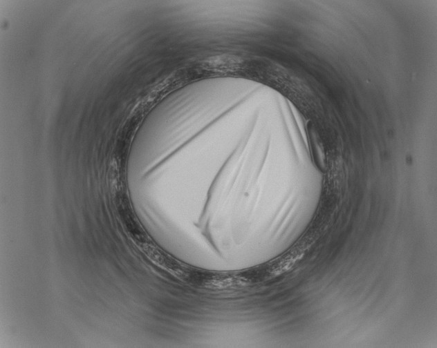 X0000067900752200605111917