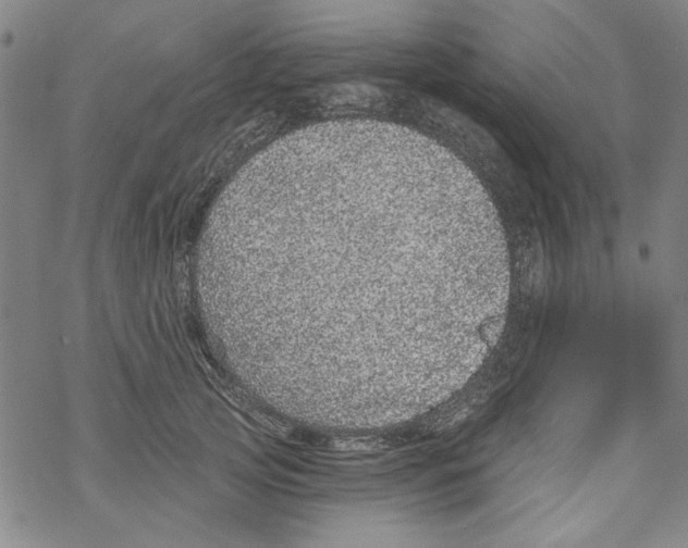 X0000067900753200605111917