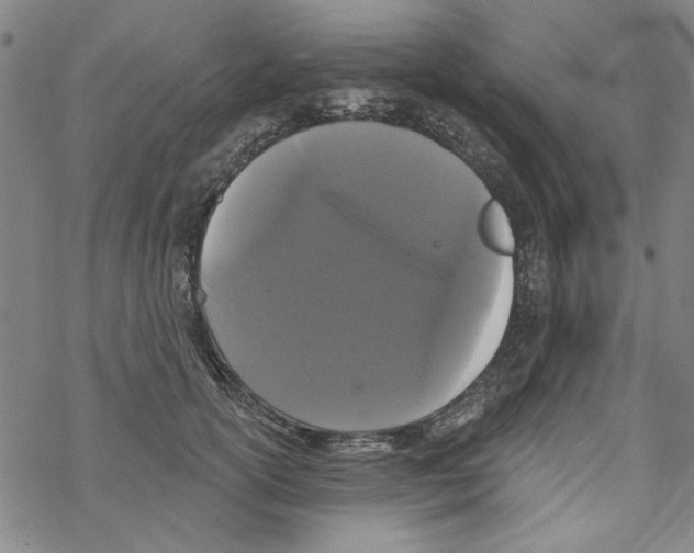 X0000067900754200605111917