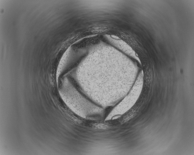 X0000067900755200605111917