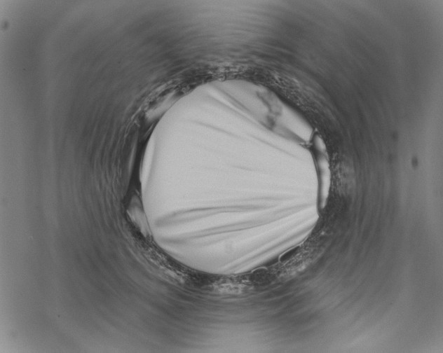 X0000067900756200605111917