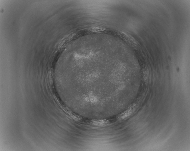 X0000067900757200605111917