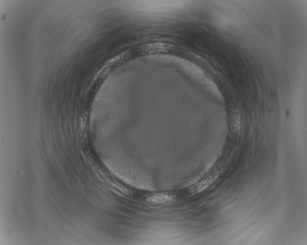 X0000067900759200605111917