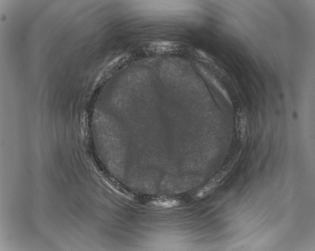 X0000067900760200605111917