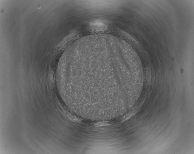 X0000067900761200605111917