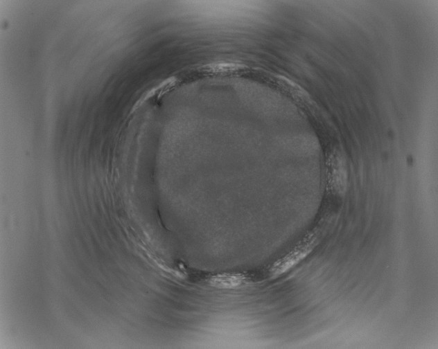 X0000067900762200605111917