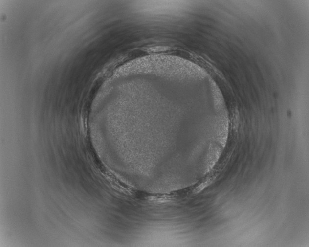 X0000067900763200605111917