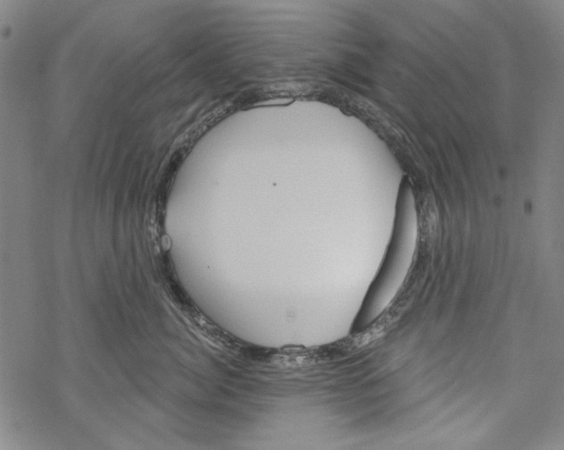 X0000067900764200605111917