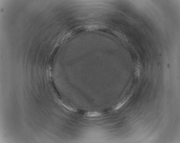 X0000067900766200605111917