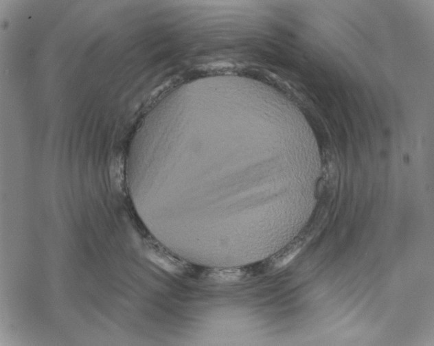 X0000067900767200605111917