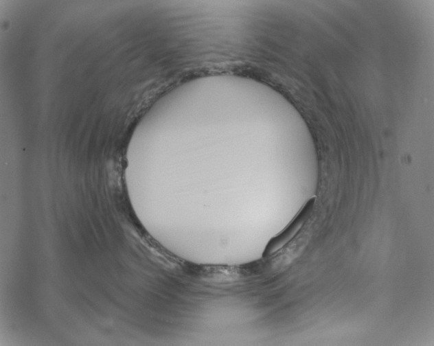 X0000067900768200605111917