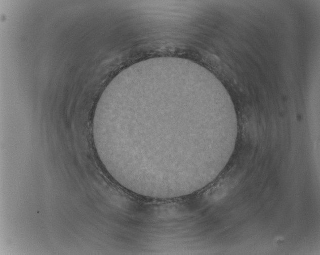 X0000067900769200605111916