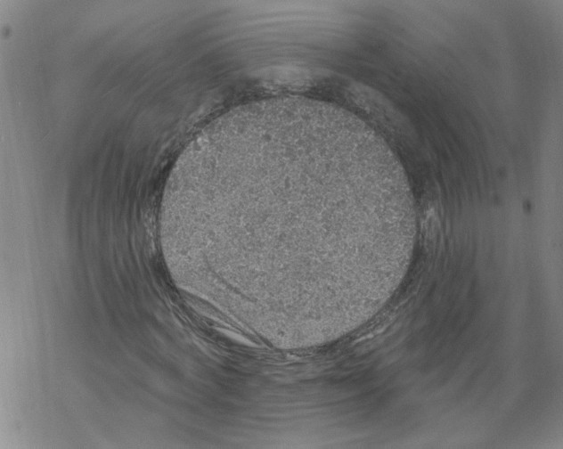 X0000067900772200605111916