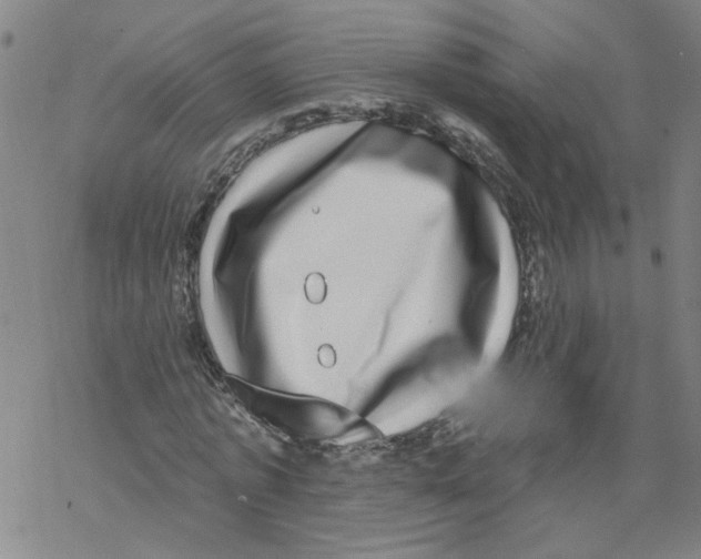 X0000067900773200605111916