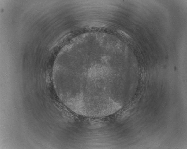 X0000067900774200605111916