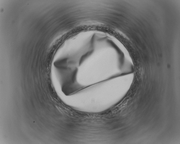 X0000067900775200605111916