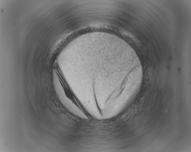 X0000067900776200605111916