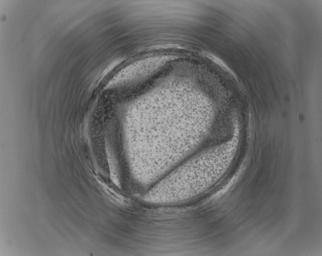 X0000067900777200605111916