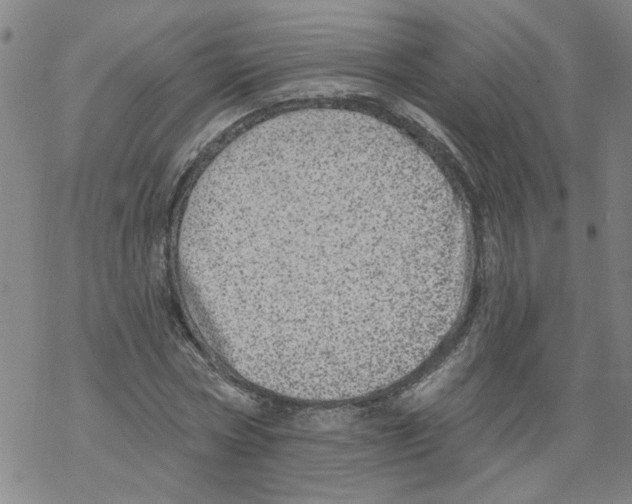 X0000067900778200605111916