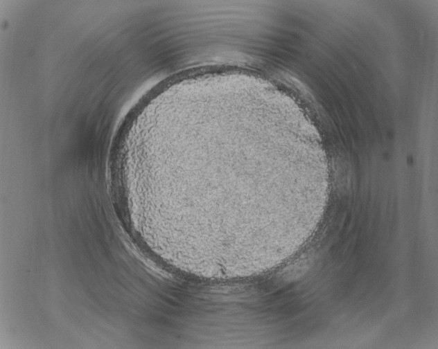 X0000067900780200605111916