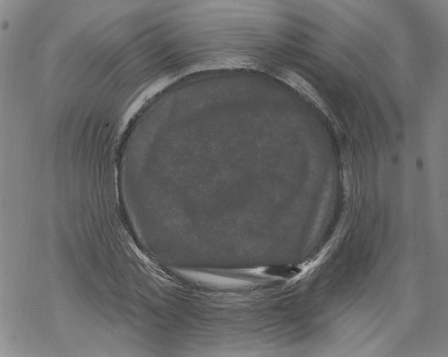 X0000067900781200605111916