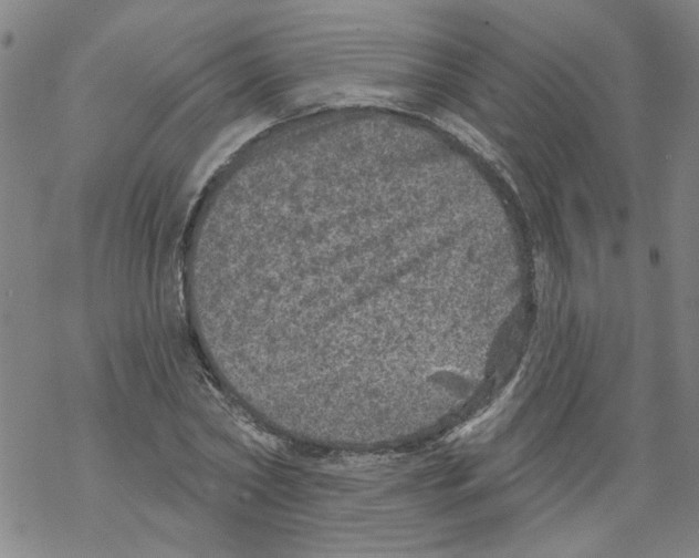 X0000067900782200605111916