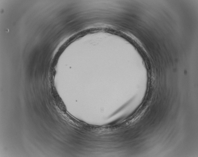 X0000067900783200605111916