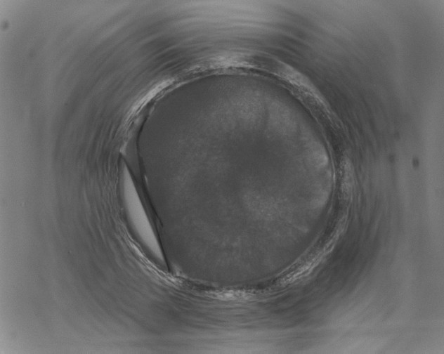 X0000067900785200605111916