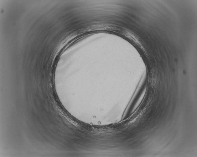 X0000067900786200605111916