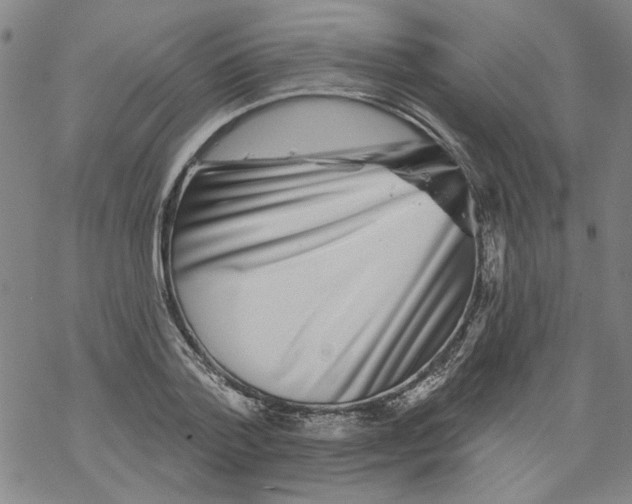 X0000067900788200605111916