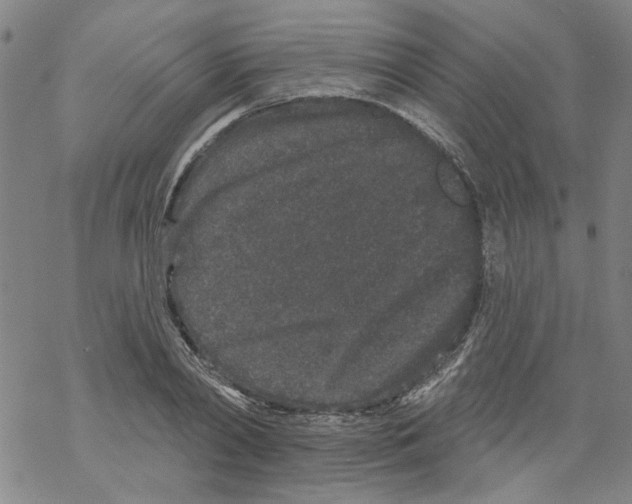 X0000067900790200605111916