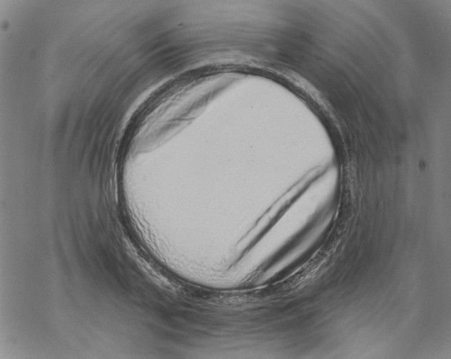 X0000067900791200605111916