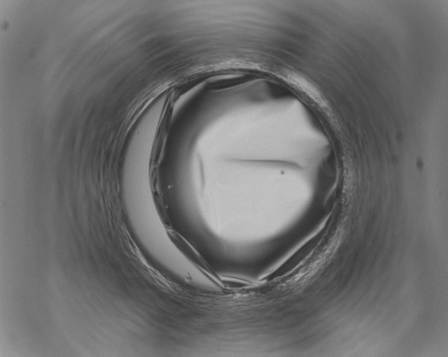 X0000067900793200605111916