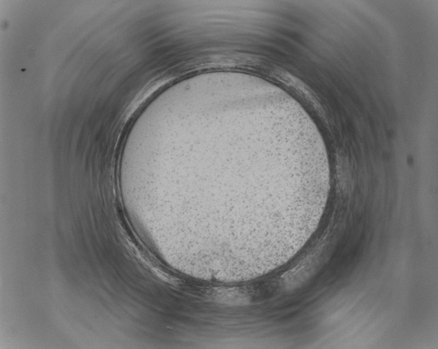 X0000067900794200605111916