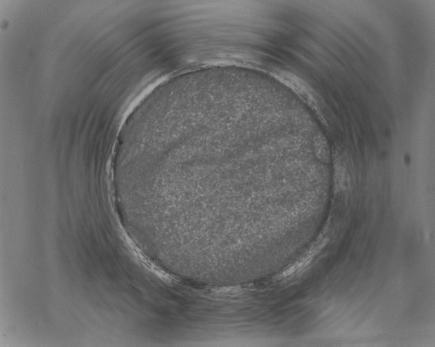 X0000067900798200605111916