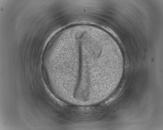 X0000067900799200605111916