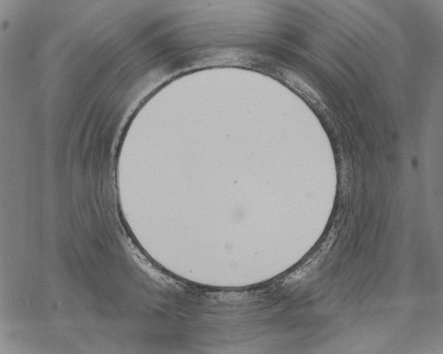 X0000067900800200605111916