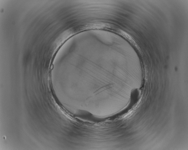 X0000067900802200605111916