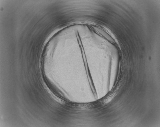 X0000067900803200605111916