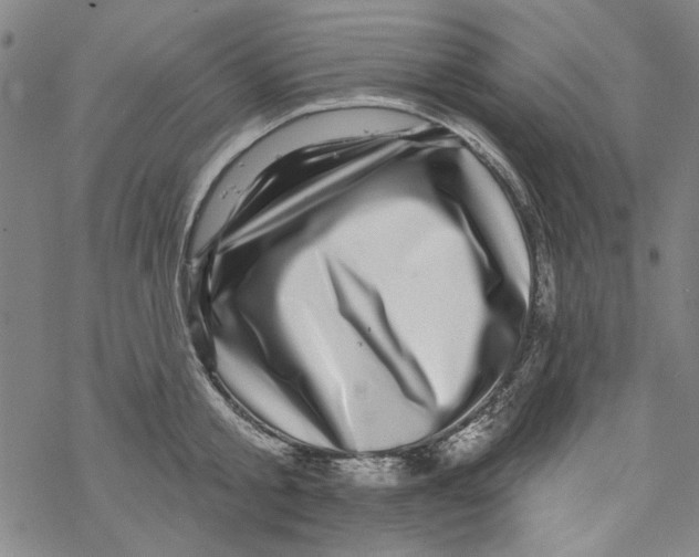 X0000067900805200605111916