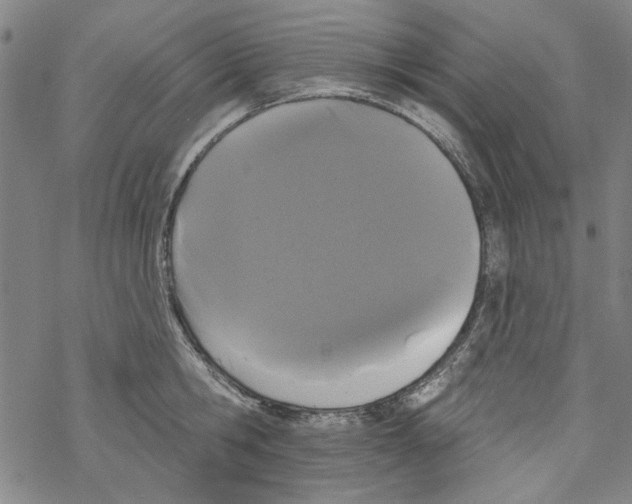 X0000067900806200605111916