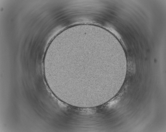 X0000067900807200605111915