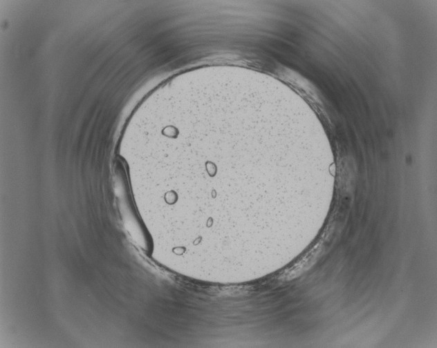 X0000067900808200605111915